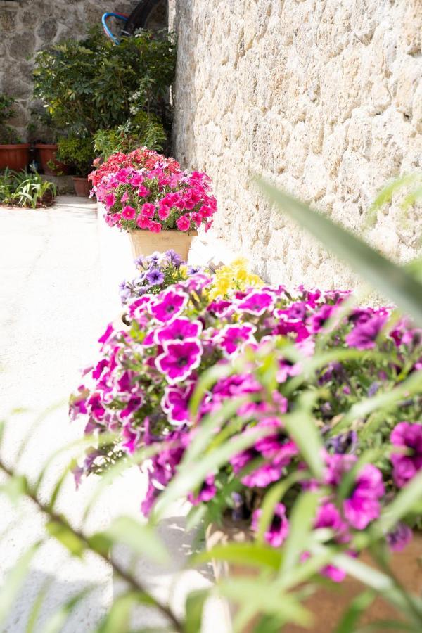 La Bella Vita - Luxury Holiday House Close To Corfu Town Potamos  Экстерьер фото